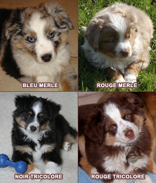 4 bébés nés chez nous, dans les 4 couleurs